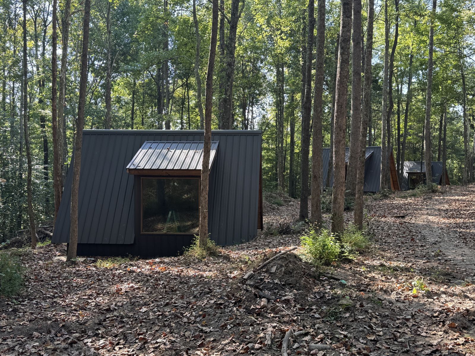 Row of A-frame glamping cabins in the woods at Father Son Camp